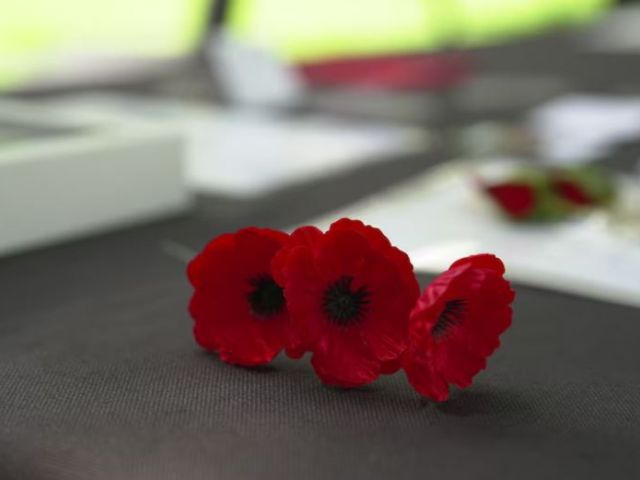 Known as votive items, things like personalised letters and cards to those lost, paper or porcelain poppies, photographs of people in uniform, and service medallions, have been left among the domes. (ABC News: Simon Beardsell)