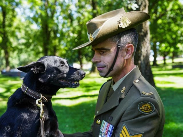 Sergeant Ian Moss attended the awards at the Australian War Memorial and accepted the posthumous award on behalf of Flo Joe. (ABC News: James Tugwell)