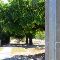 Violet Town 1917 ANZAC Avenue of Remembrance