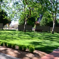 ACT Garden of Remembrance