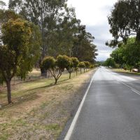 Euroa Avenue of Honour to the Fallen