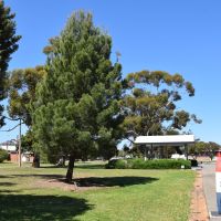 RAAF Base Edinburgh Lone Pine Memorial Tree