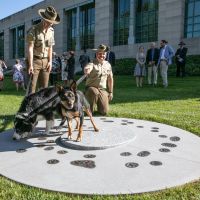 Circling into Sleep memorial