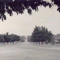 Seymour Avenue of Honour