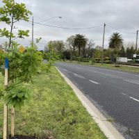 Seymour Avenue of Honour