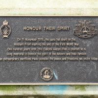 Miranda War Memorial Lone Pine Tree