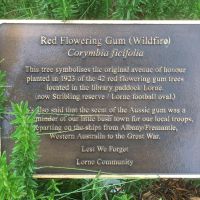 Lorne Avenue of Honour