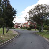 The Dimboola Memorial Secondary College Memorial Building (1924) visible through the Avenue of Honour.
