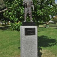 A Soldier of the Second World War