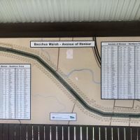 Shelter with map showing location of each of the 281 dedicated trees