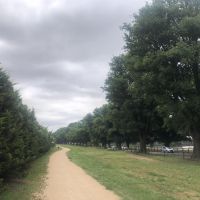 Walking track beside Avenue of Honour