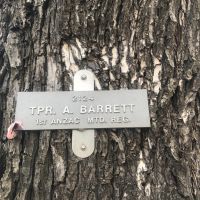 Each tree bears a plaque like this one