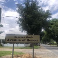 Western end of the Avenue of Honour (closest to town)