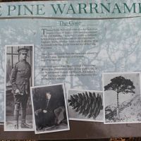 Warrnambool Lone Pine