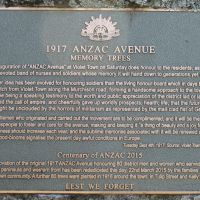 Violet Town 1917 ANZAC Avenue of Remembrance