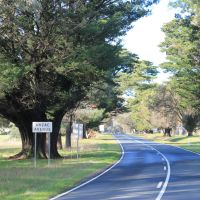 Moonambel Avenue of Honour