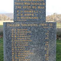 Moonambel Avenue of Honour