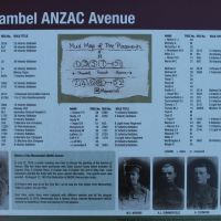 Moonambel Avenue of Honour