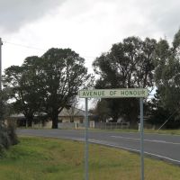 Maroona Avenue of Honour