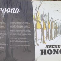 Maroona Avenue of Honour