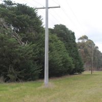 Maroona Avenue of Honour