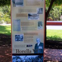 Lieutenant Albert Borella VC, Memorial Interpretative Board Located in the Soldiers' Memorial Park, Wedderburn