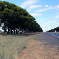 Start of the Sir John Monash Memorial Drive (Newell Highway) Just South of the Jerilderie Township