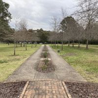 Lieutenant Cantello Reserve Memorial