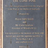 Whyalla Lone Pine
