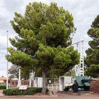 Whyalla Lone Pine