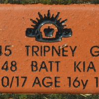 We will remember them- Pte Gilbert Harry Tripney 48th Infantry Battalion.