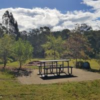 Bungonia Gallipoli Grove
