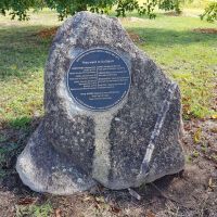 Bungonia Gallipoli Grove