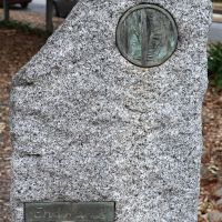 Endurance Stone
