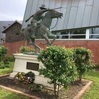 Light Horse Kyneton