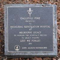 Austin Pine Plaque