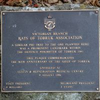 Austin Tobruk Fig Plaque