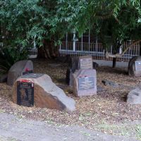 Austin Remembrance Garden 9 