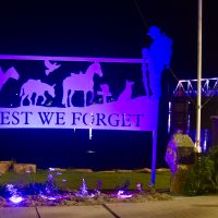 The War Animals memorial next to the main War Memorial, lit up at night in purple for remembrance of War Animal service.