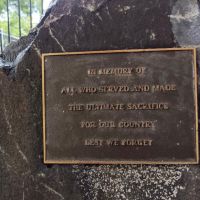 Close-up of plaque