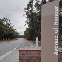 Albany Avenue of Honour