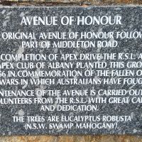 Albany Avenue of Honour