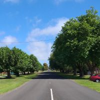 Koroit Avenue of Honour