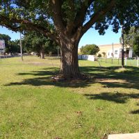 Casterton Avenue of Remembrance