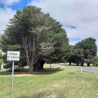 Avenue of Honour