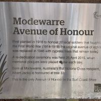 Modewarre Avenue of Honour 