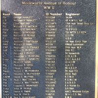 Modewarre Avenue of Honour 