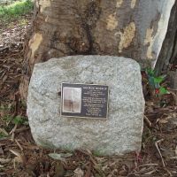 plaque on rock at base of tree