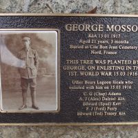 plaque placed at base of tree