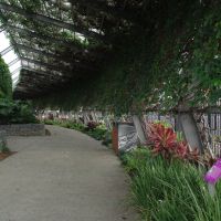 Munro Martin Park Memorial, Cairns